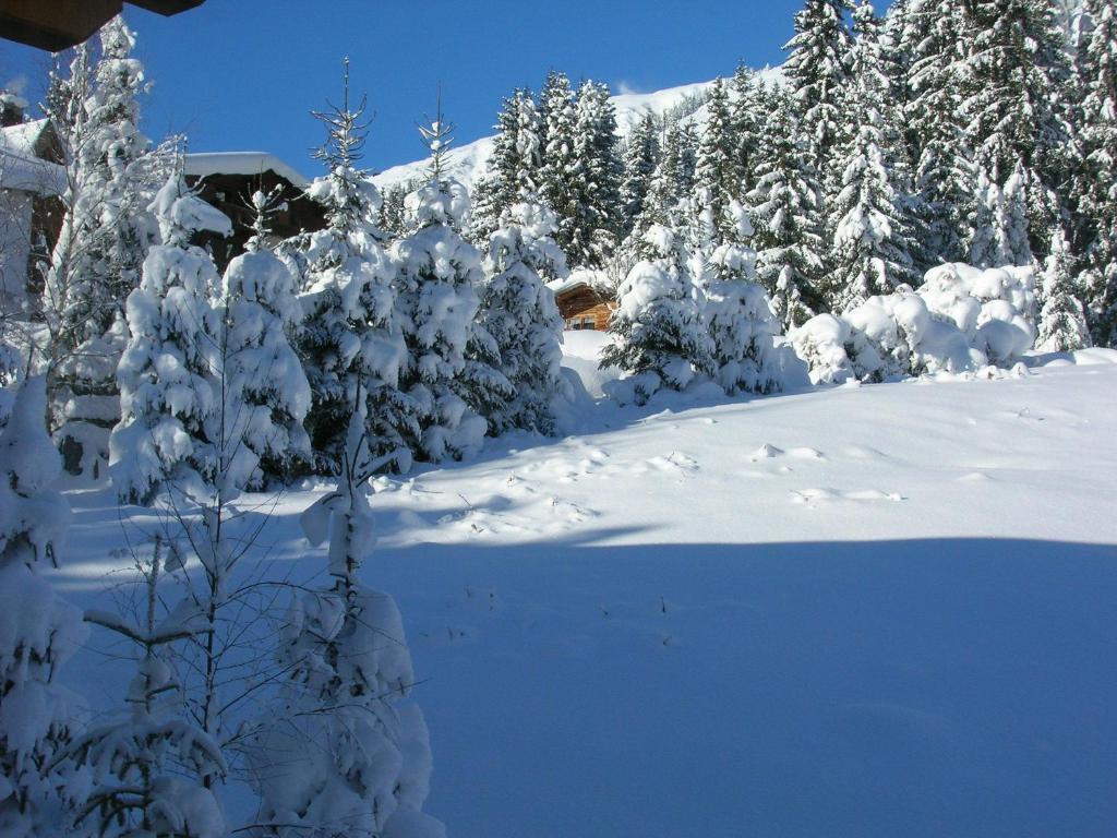 Apartment Valtiner Sankt Anton am Arlberg Buitenkant foto